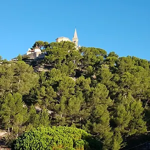 Sous L'olivier Marseille